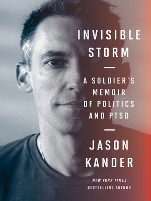 cover image of Invisible Storm